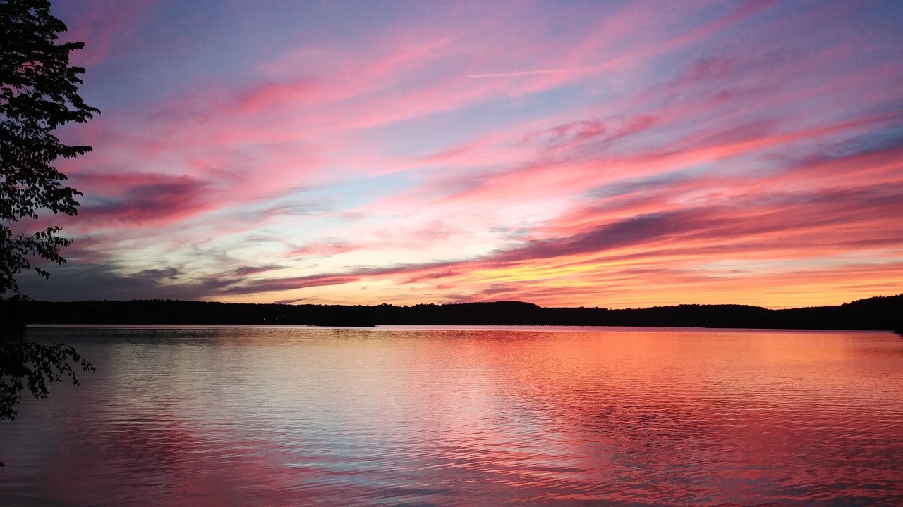 Photo of Others in Northport