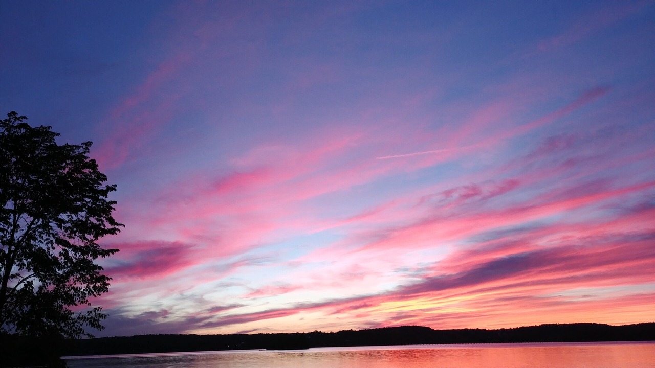 Photo of Others in Northport