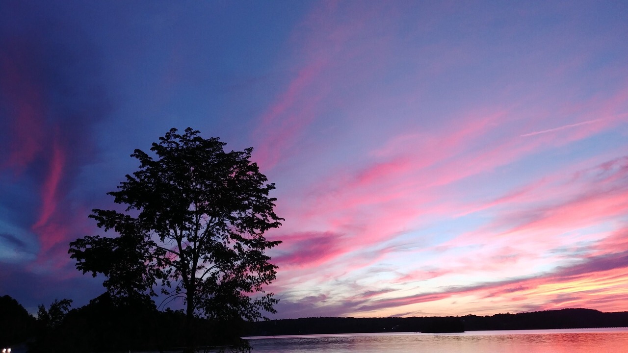 Photo of Outdoor in Northport