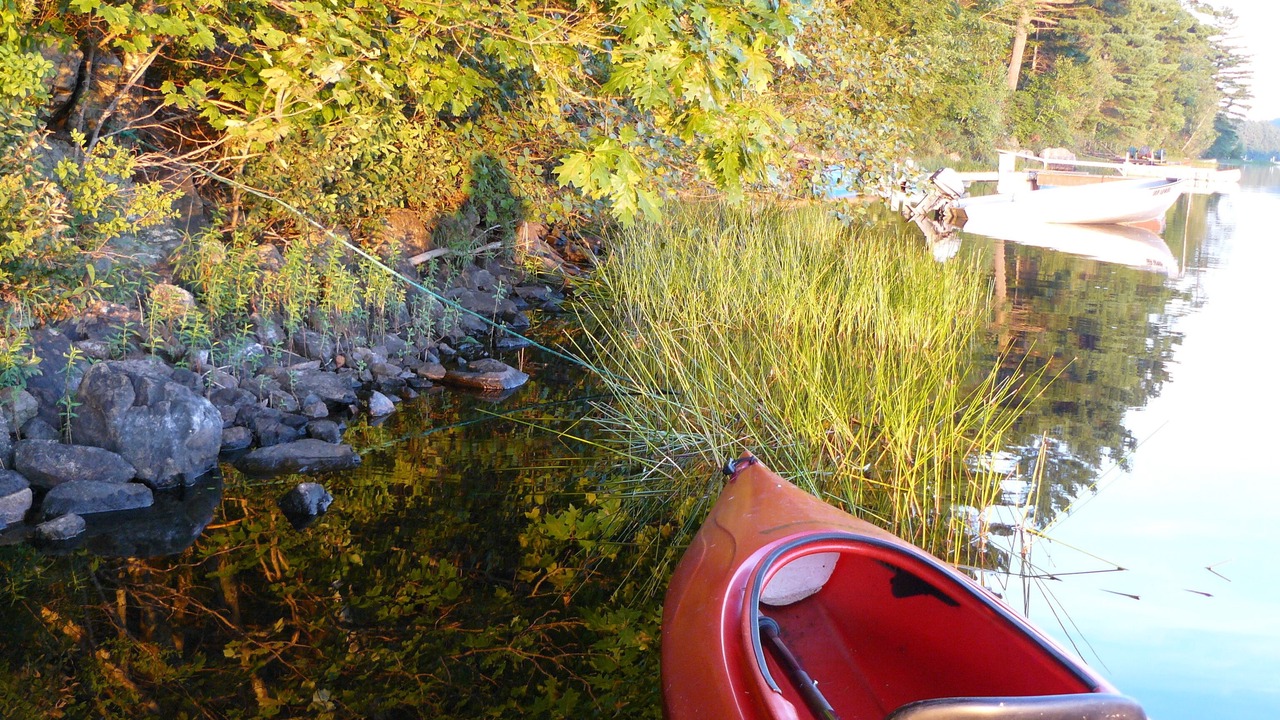 Photo of Outdoor in Northport