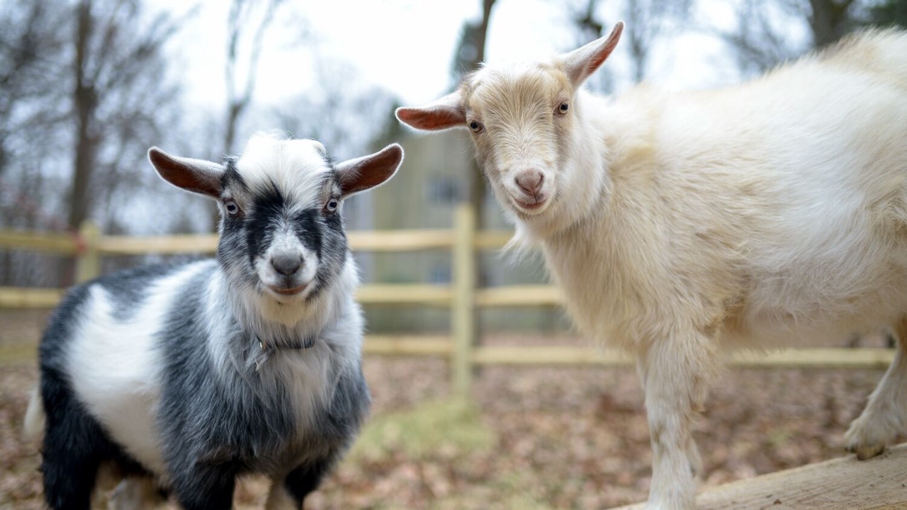 Photo of Others in New Hope