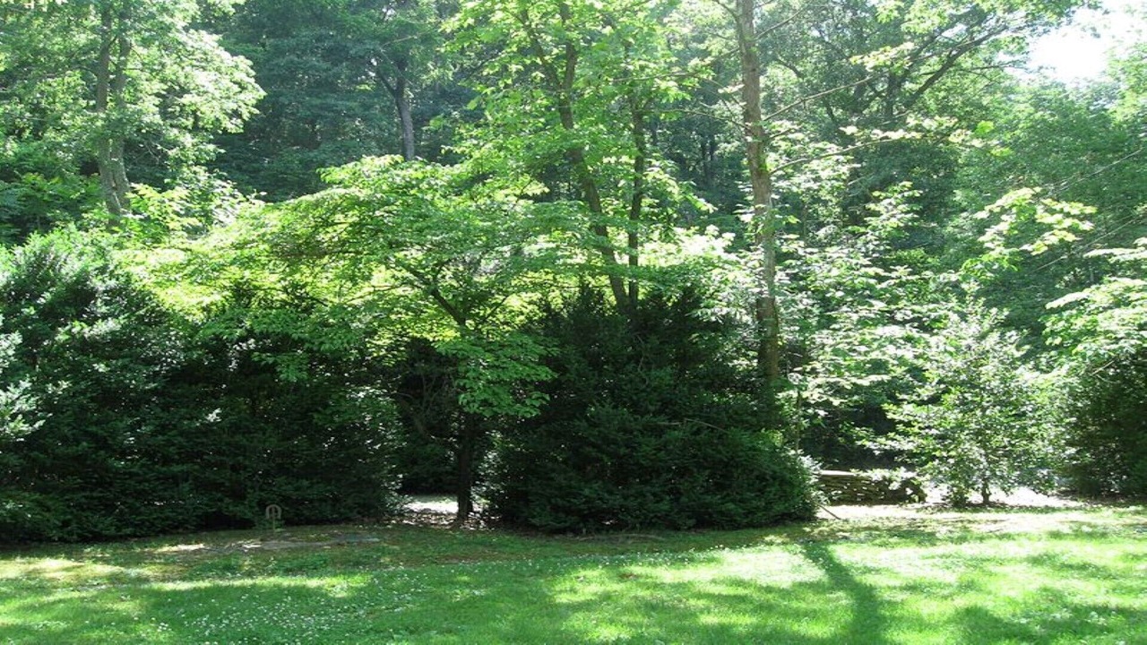 Photo of Outdoor in Luray