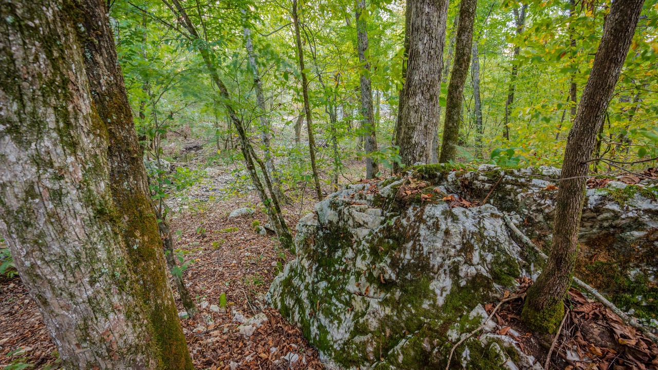 Photo of Others in Broken Bow