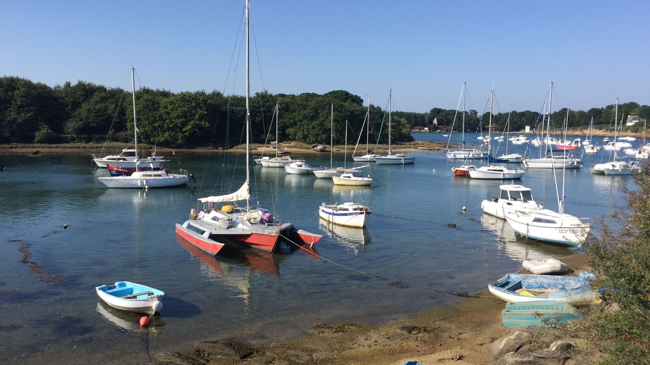 Photo of Others in Tregunc