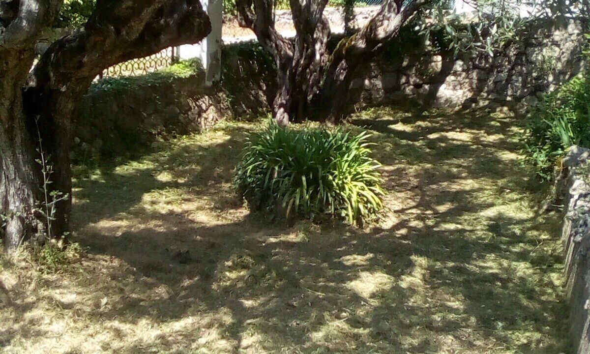 Photo of Outdoor in Fayence