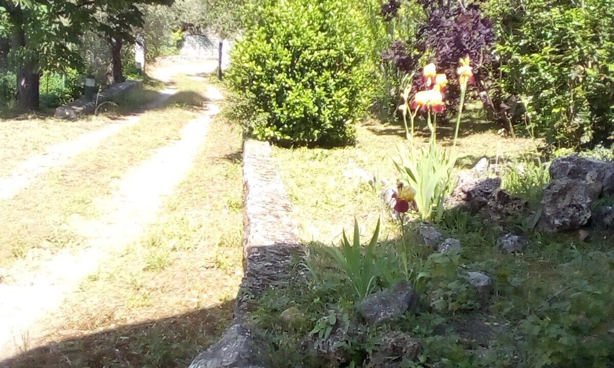 Photo of Outdoor in Fayence