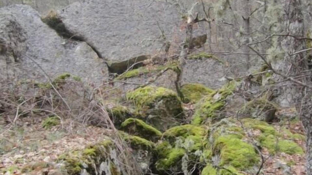 Photo of Outdoor in Basconcillos del Tozo