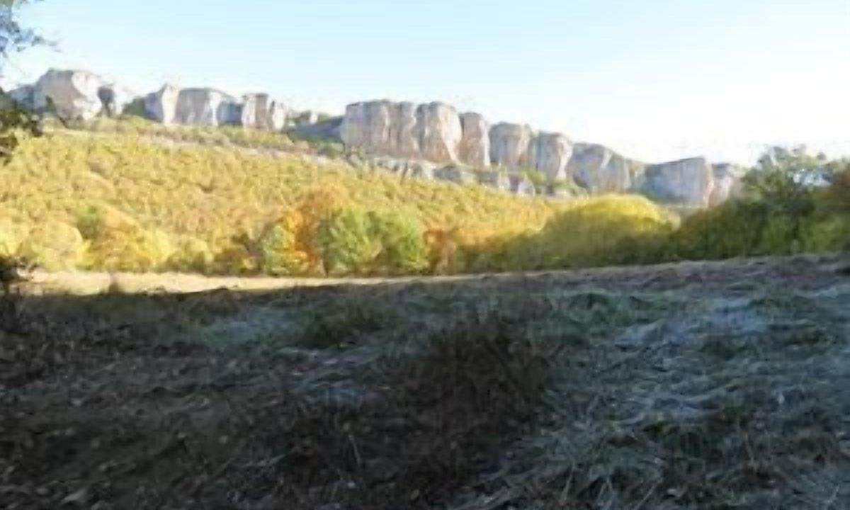 Photo of Others in Basconcillos del Tozo