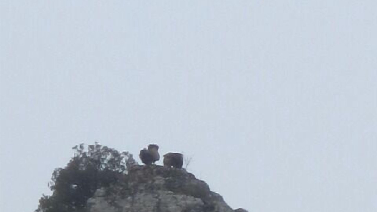 Photo of Outdoor in Basconcillos del Tozo