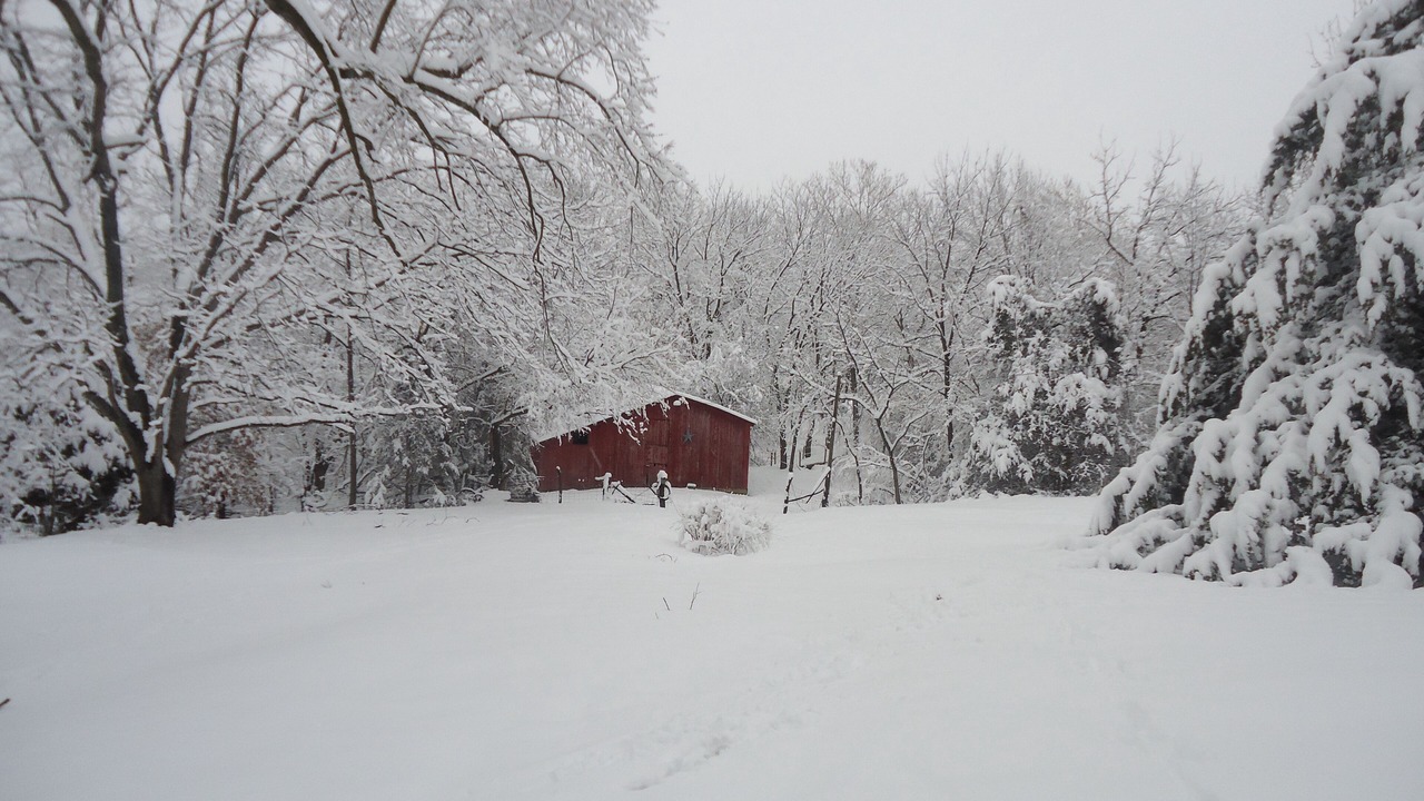 Photo of Outdoor in Carrollton