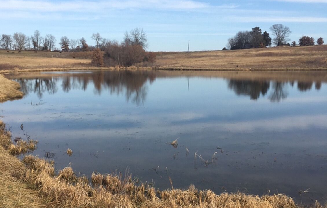 Photo of Others in Carrollton