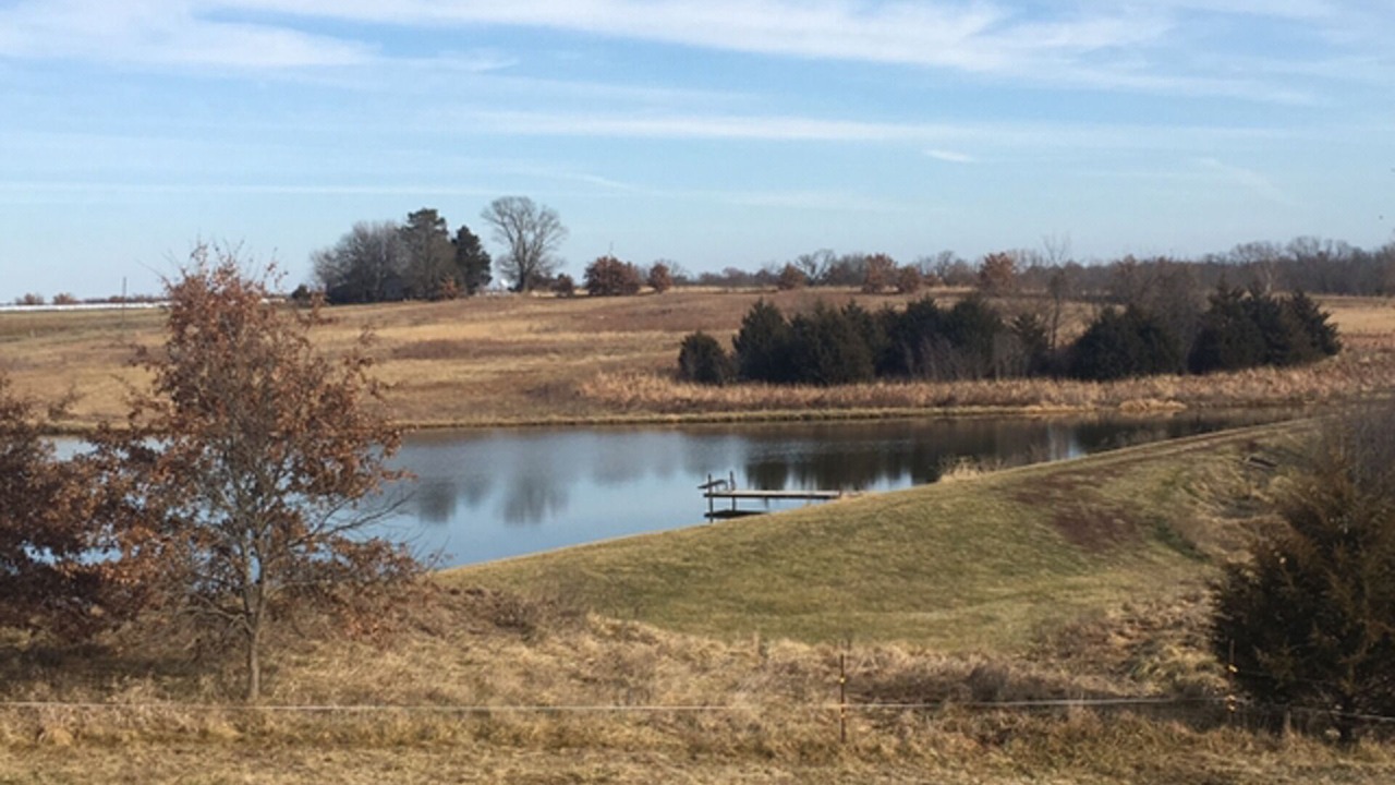 Photo of Others in Carrollton