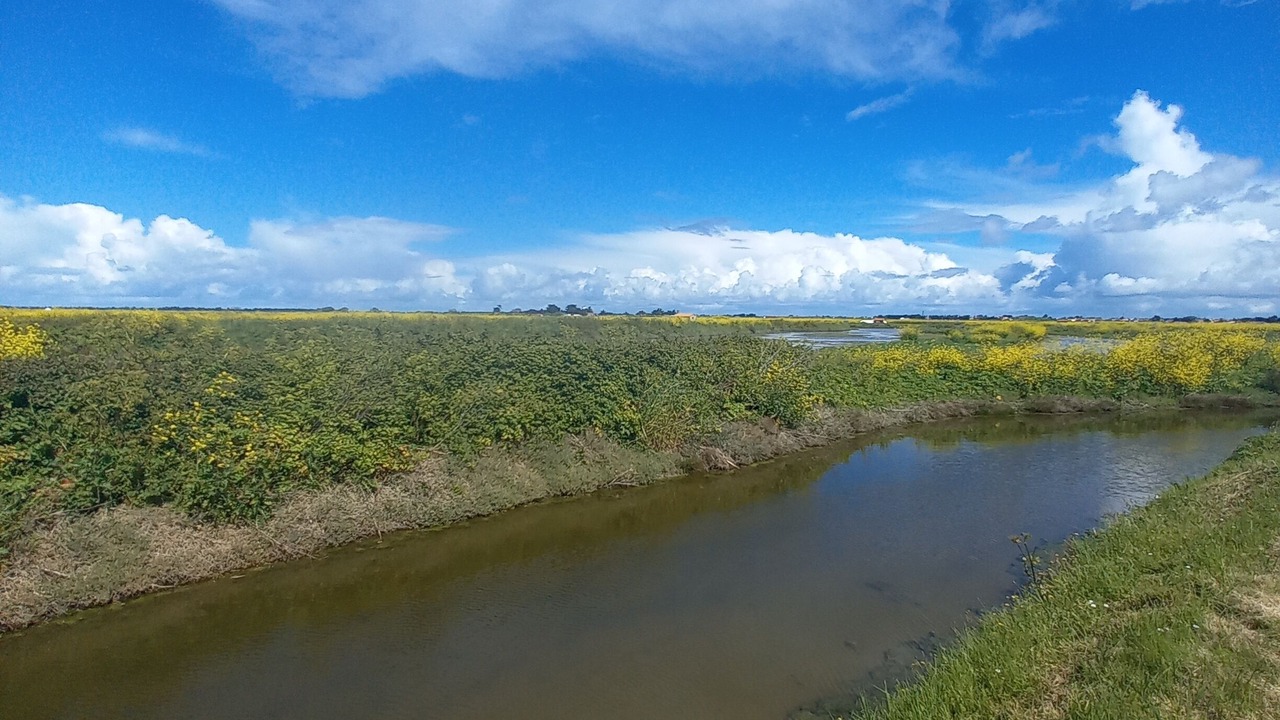 Photo of Outdoor in La Gueriniere