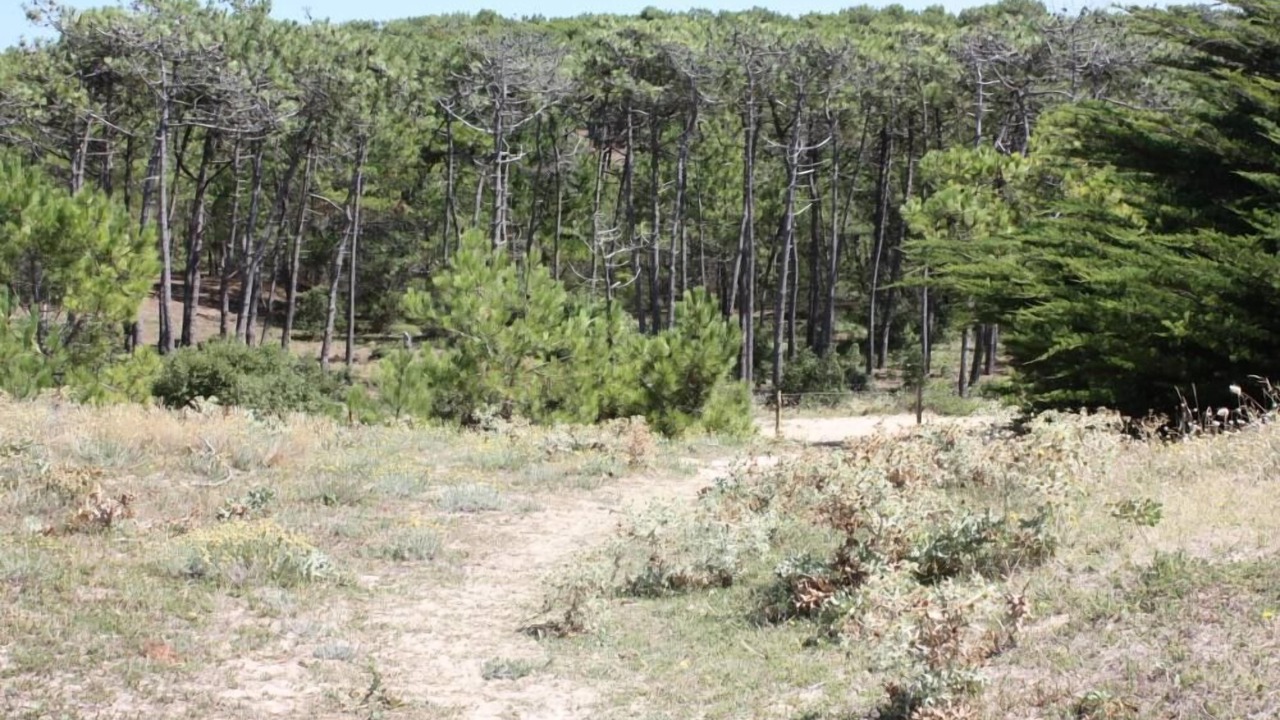Photo of Outdoor in La Gueriniere