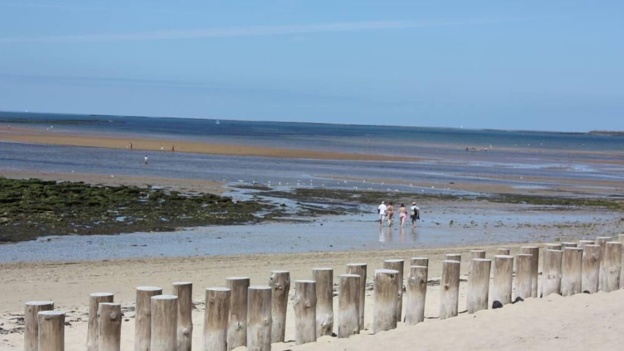 Photo of Others in La Gueriniere