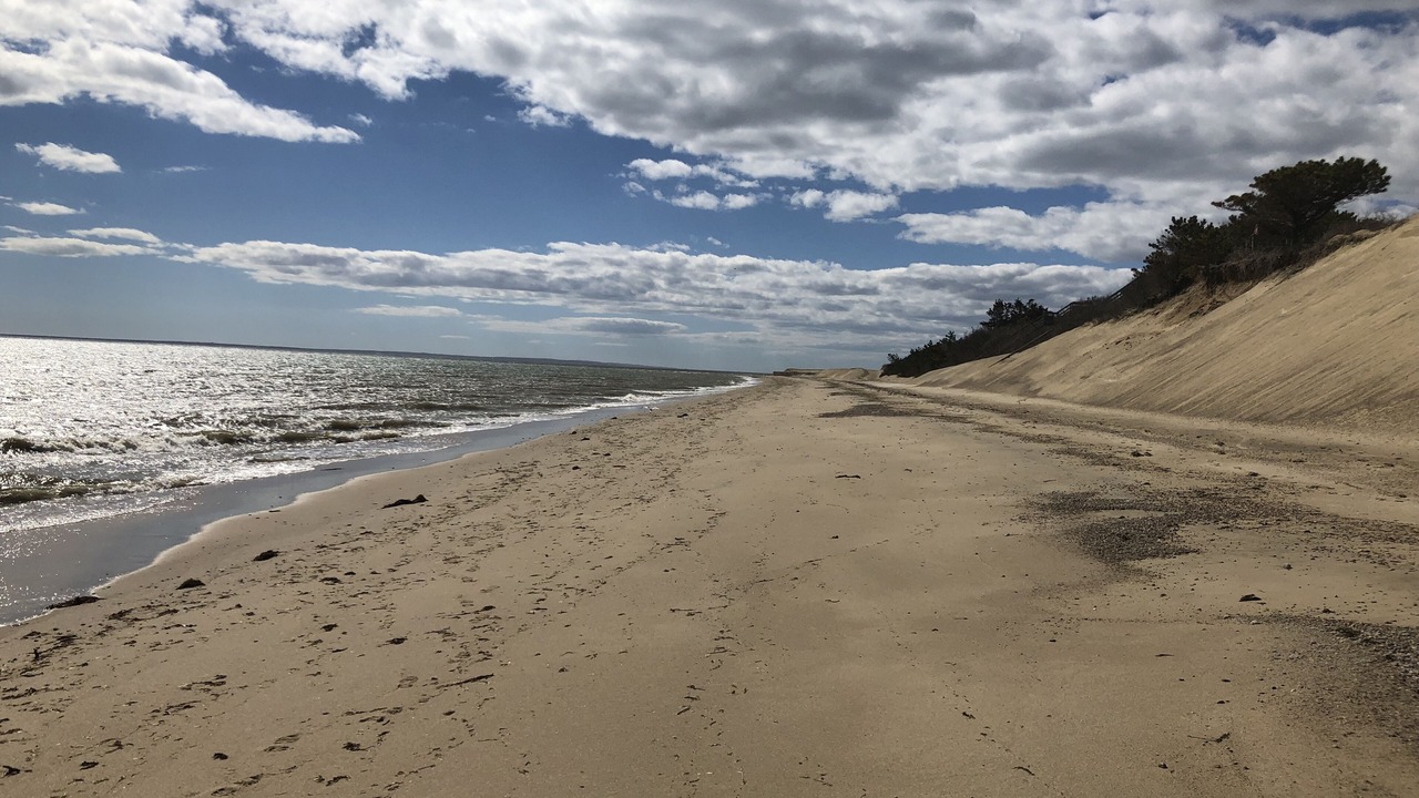 Photo of Others in Mashpee