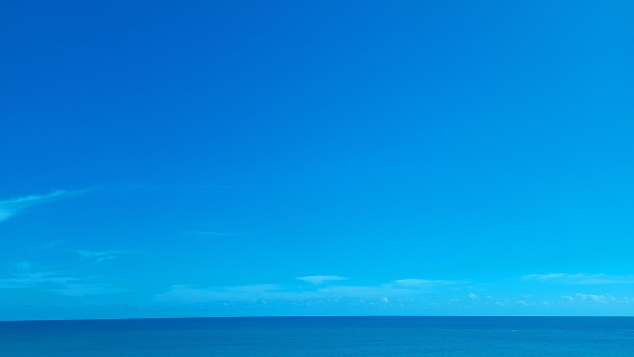 Photo of Others in Mid Beach