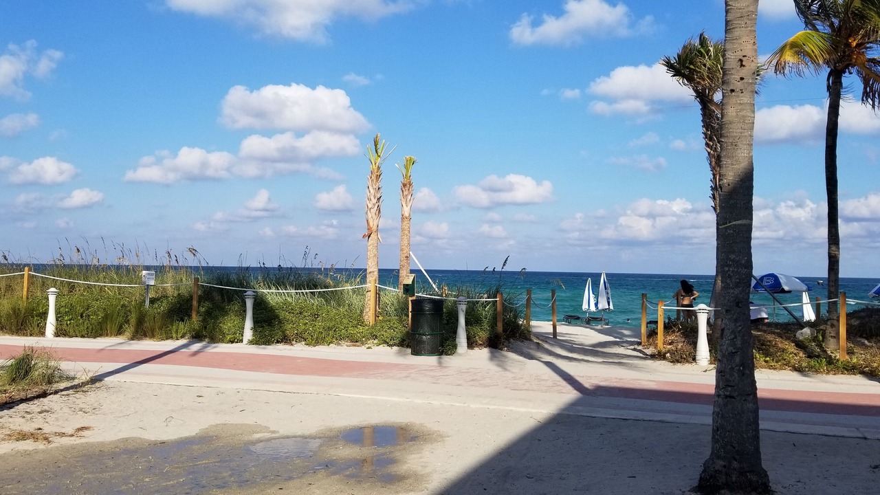 Photo of Others in Mid Beach