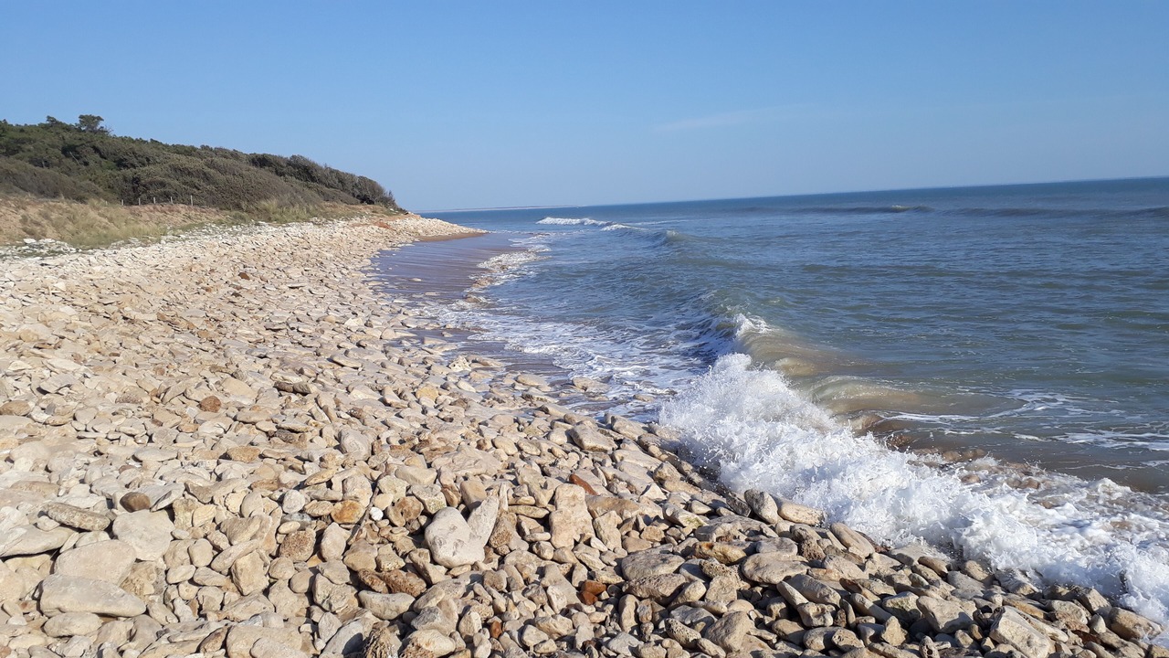 Photo of Others in Jard-sur-Mer