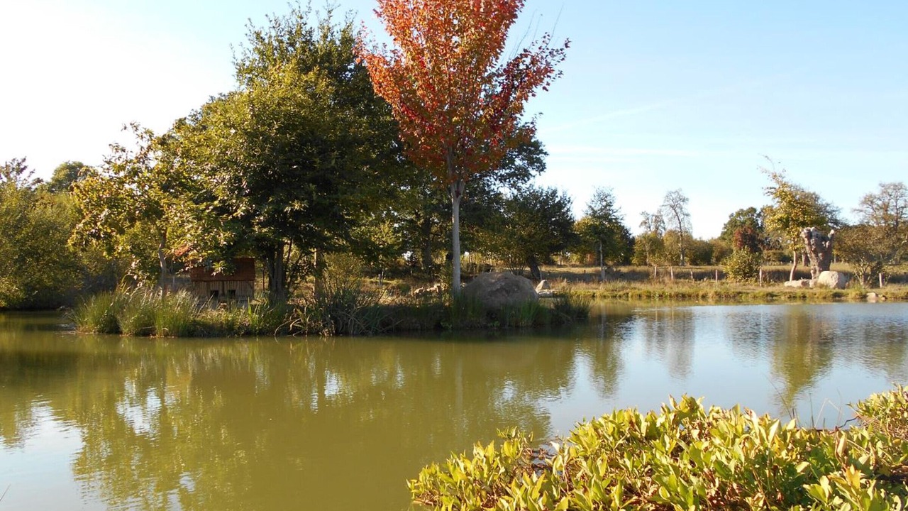 Photo of Outdoor in Ceauce