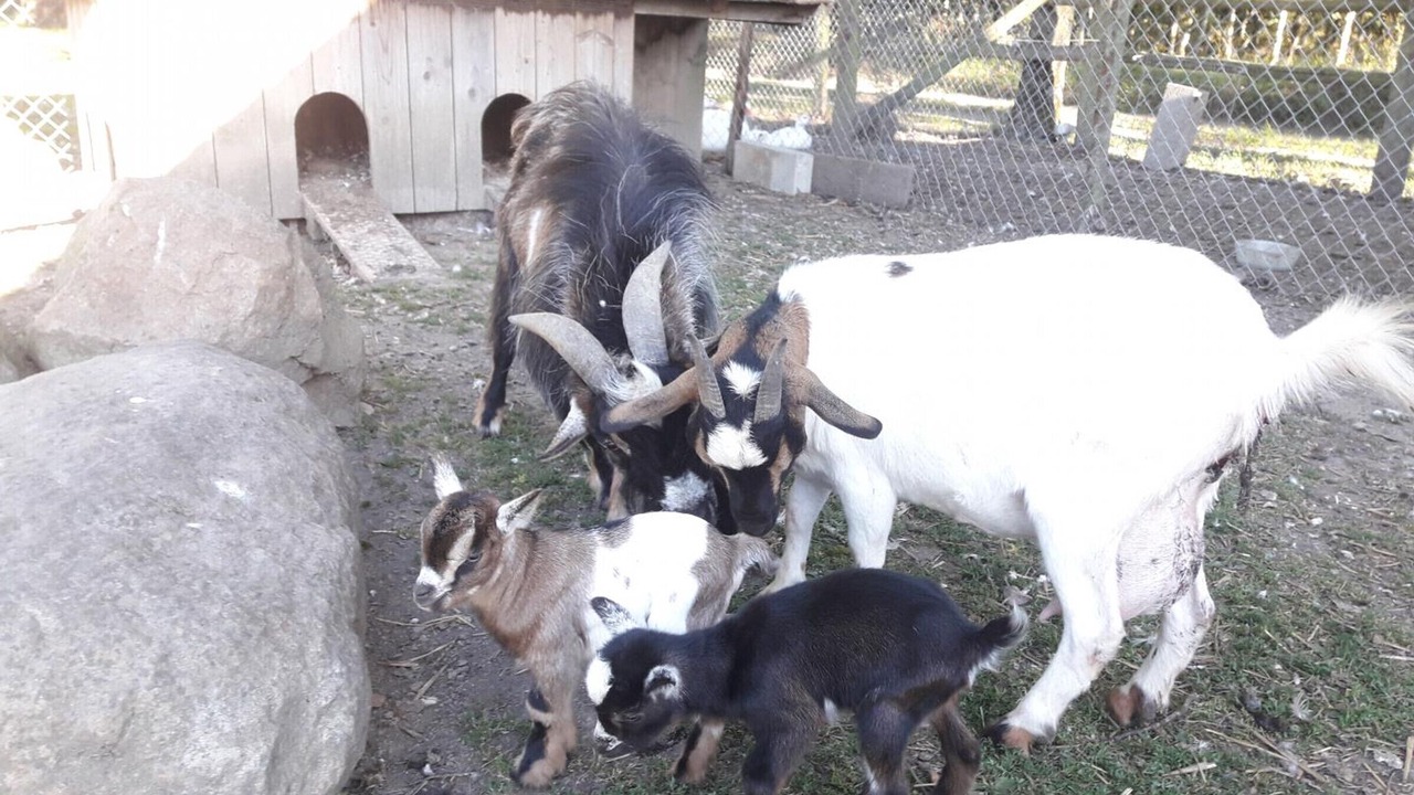 Photo of Outdoor in Ceauce