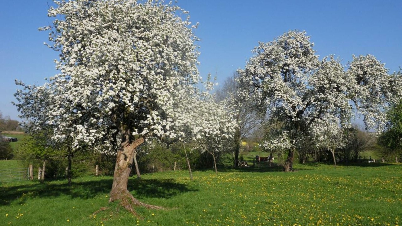 Photo of Outdoor in La Baroche-sous-Luce
