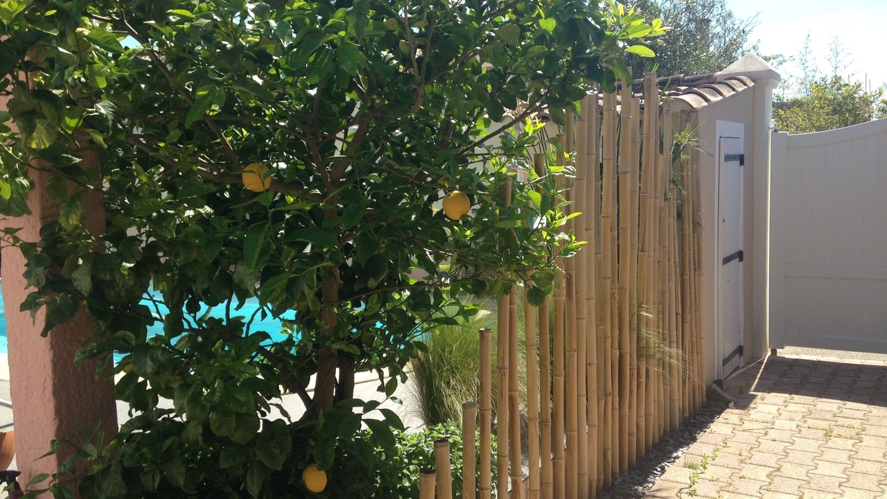 Photo of Outdoor in Perols