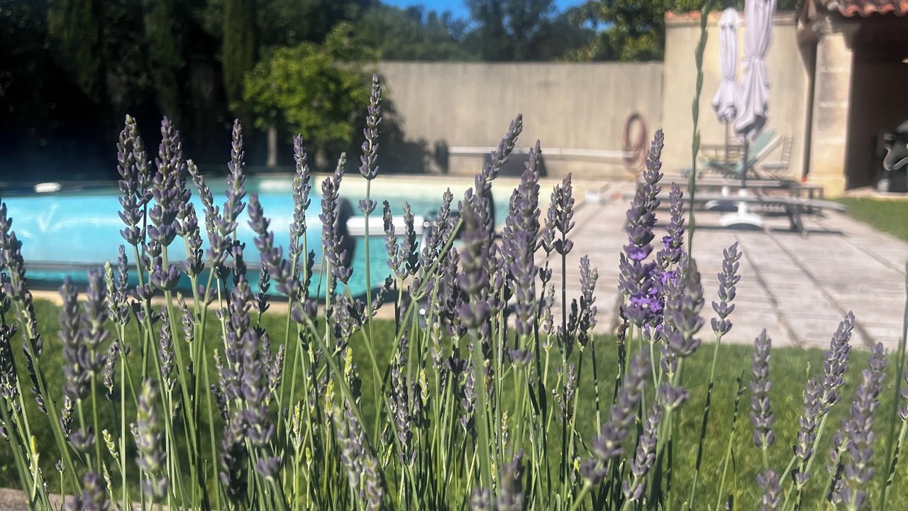 Photo of Outdoor in Robion