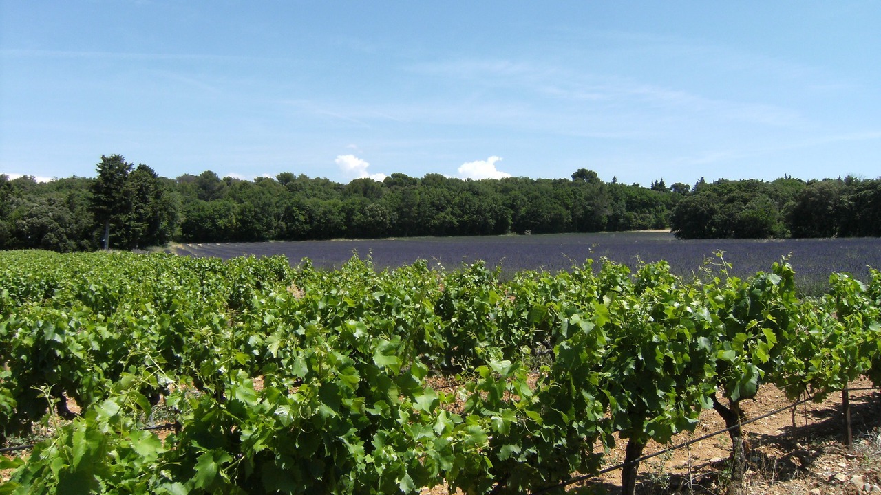 Photo of Outdoor in Grillon