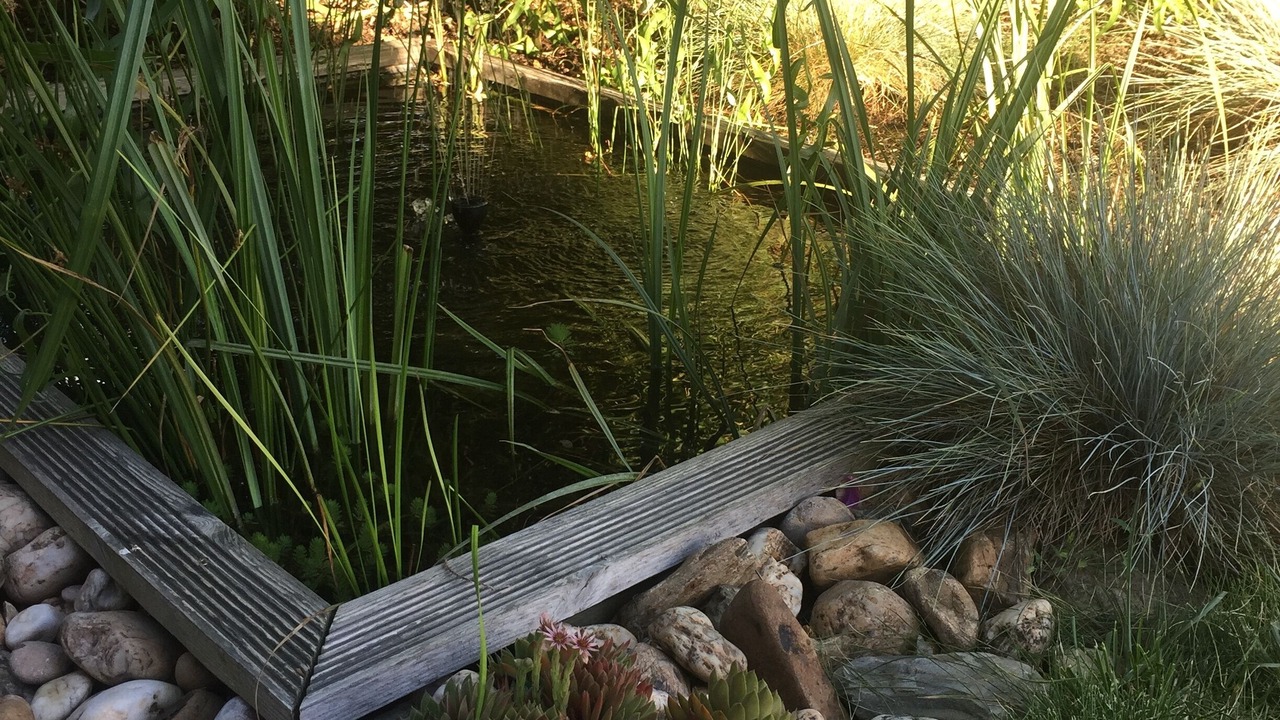 Photo of Outdoor in Albi