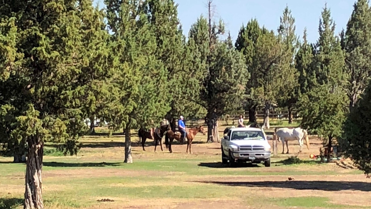 Photo of Others in Redmond