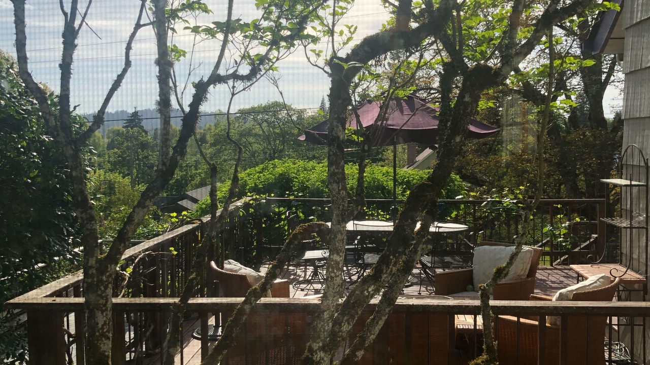 Photo of Others in Amazon