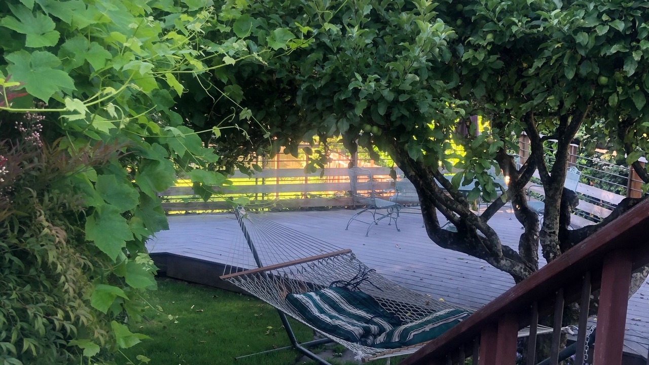 Photo of Others in Amazon