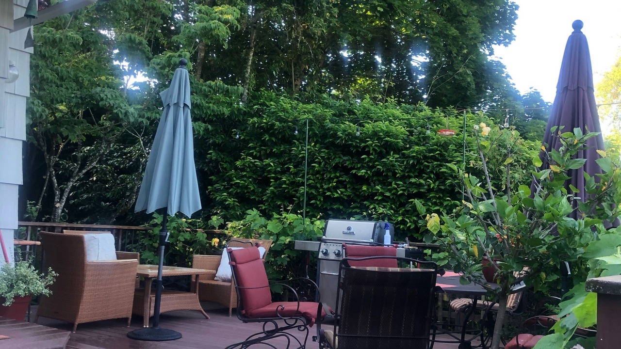 Photo of Others in Amazon