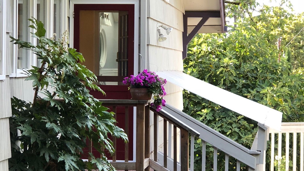 Photo of Others in Amazon