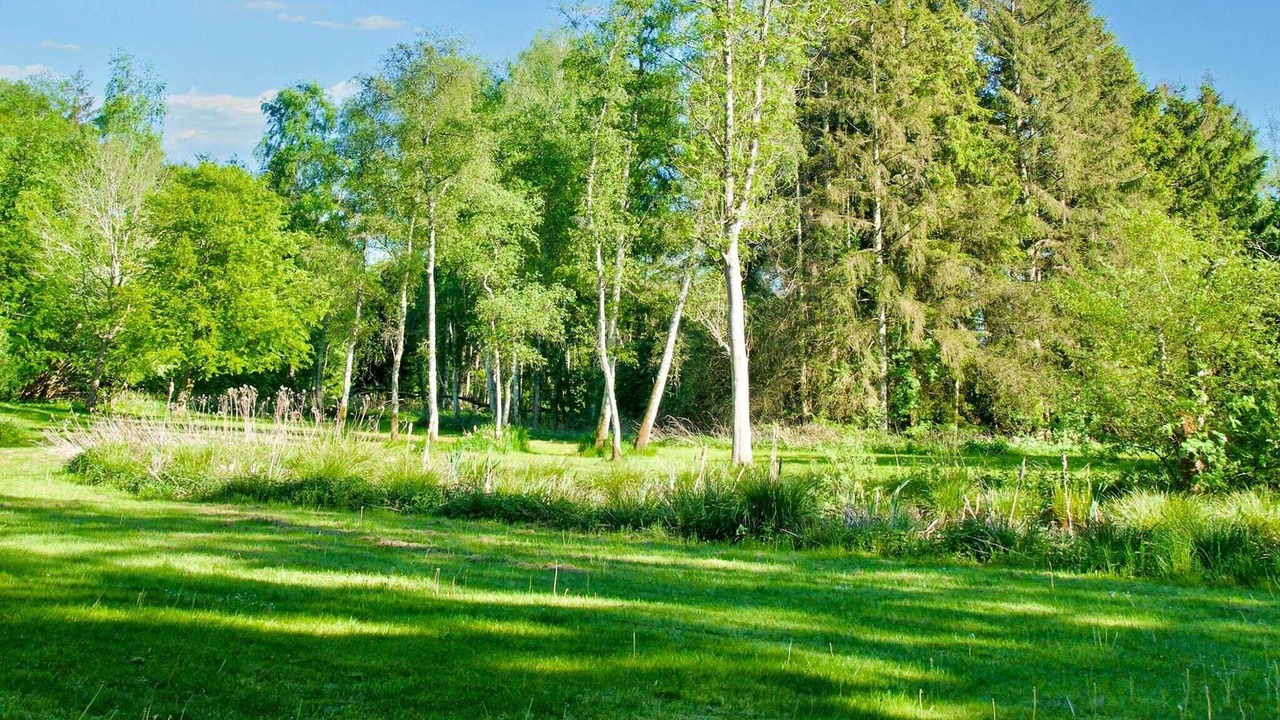 Photo of Others in Hornbaek