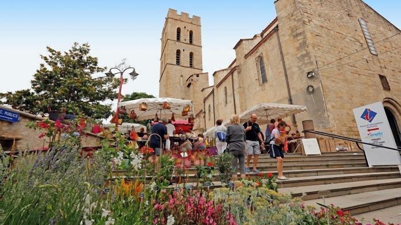 Photo of Others in Argeles-sur-Mer