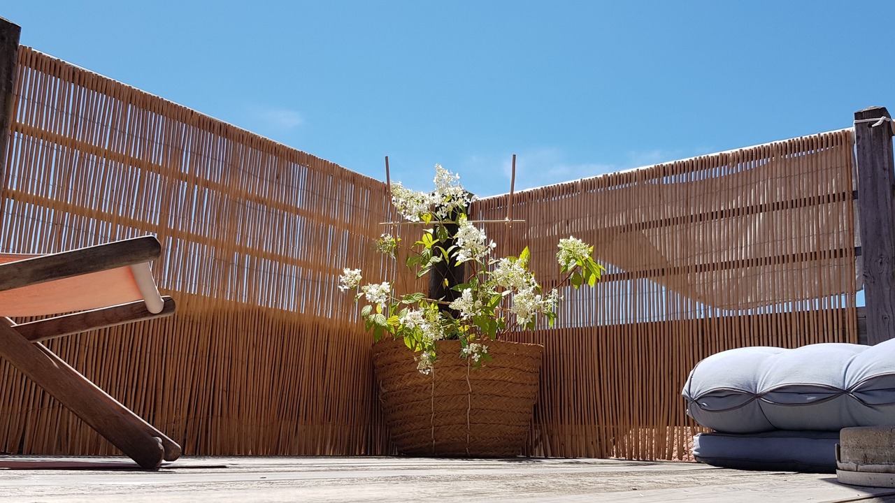 Photo of Outdoor in Contis-les-Bains