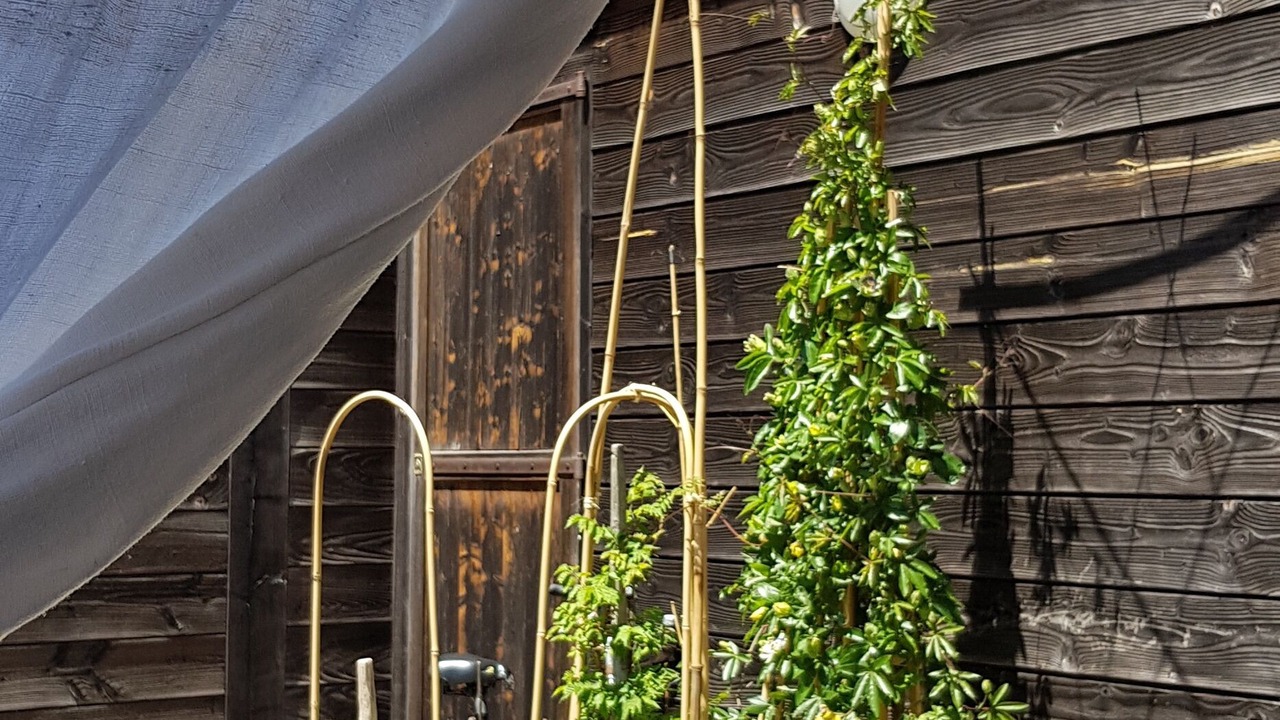 Photo of Outdoor in Contis-les-Bains