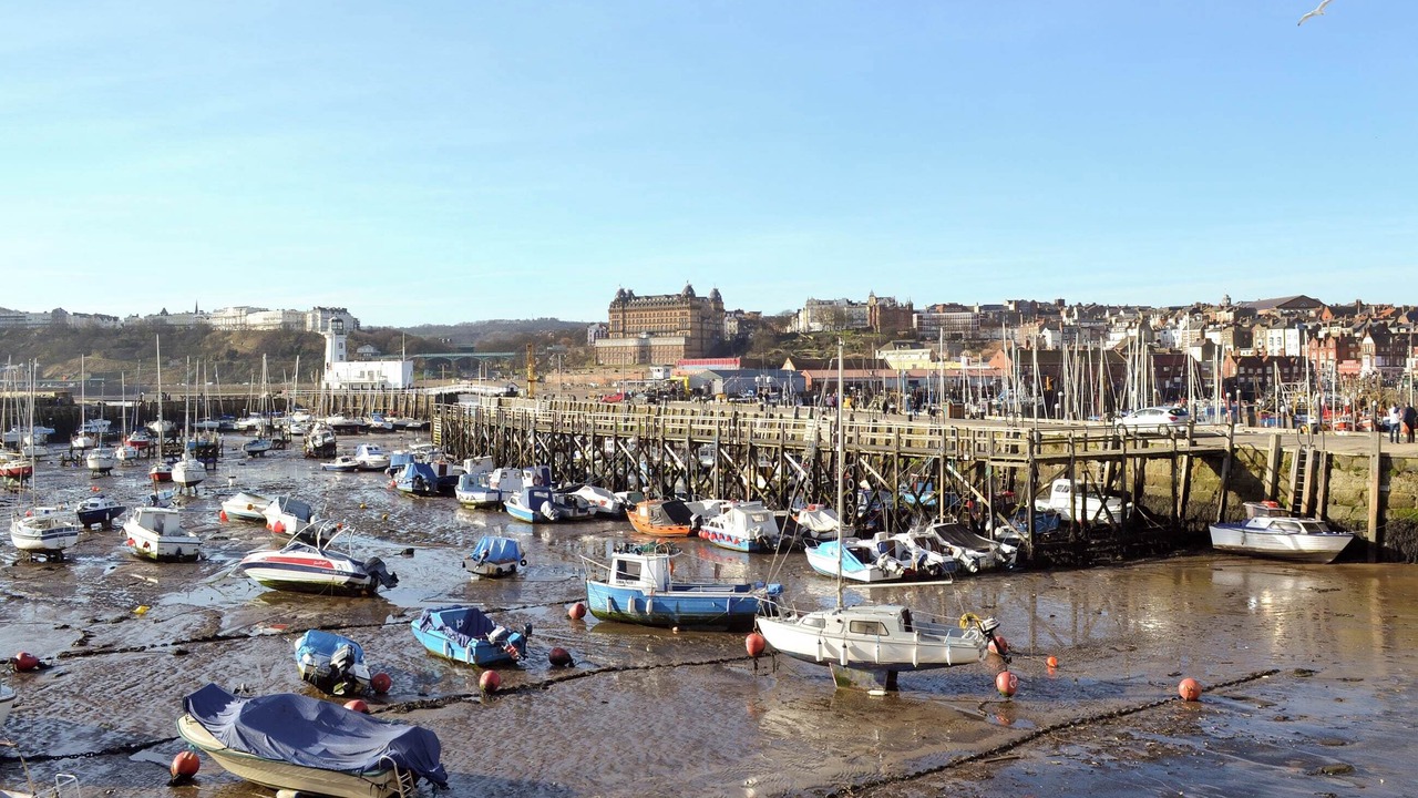 Photo of Others in Scarborough