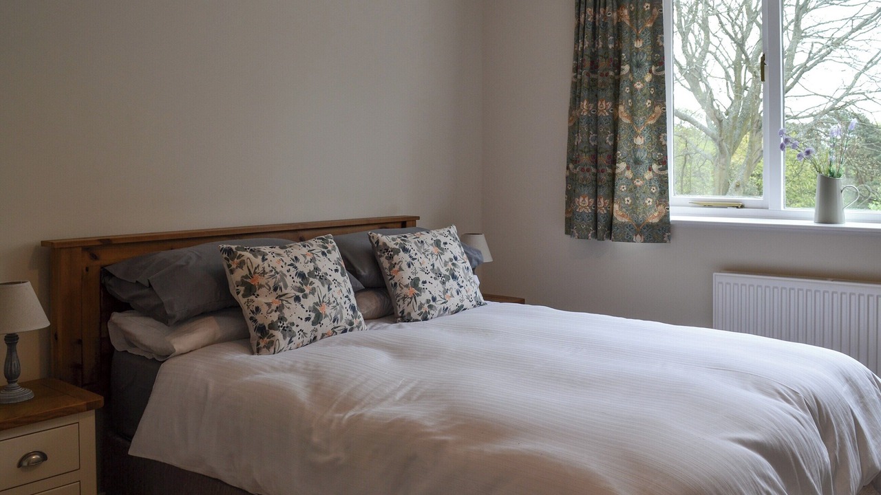 Photo of Others in Scarborough