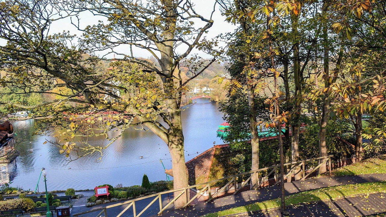 Photo of Others in Scarborough