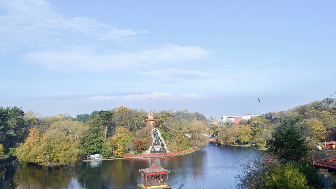 Photo of Others in Scarborough