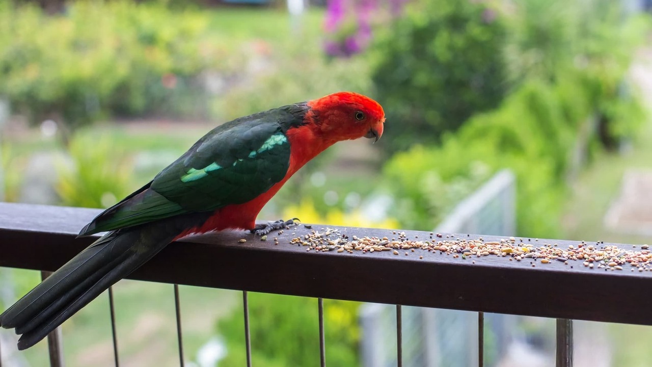 Photo of Others in Bawley Point