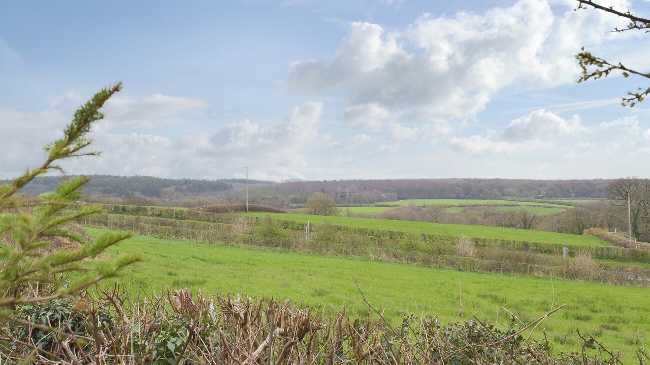 Photo of Others in Canaston Bridge