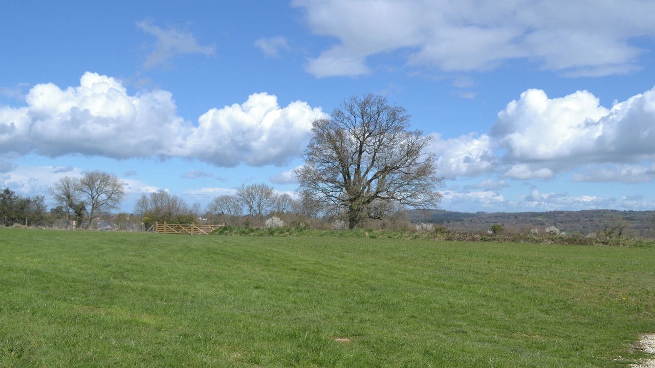 Photo of Others in Chard