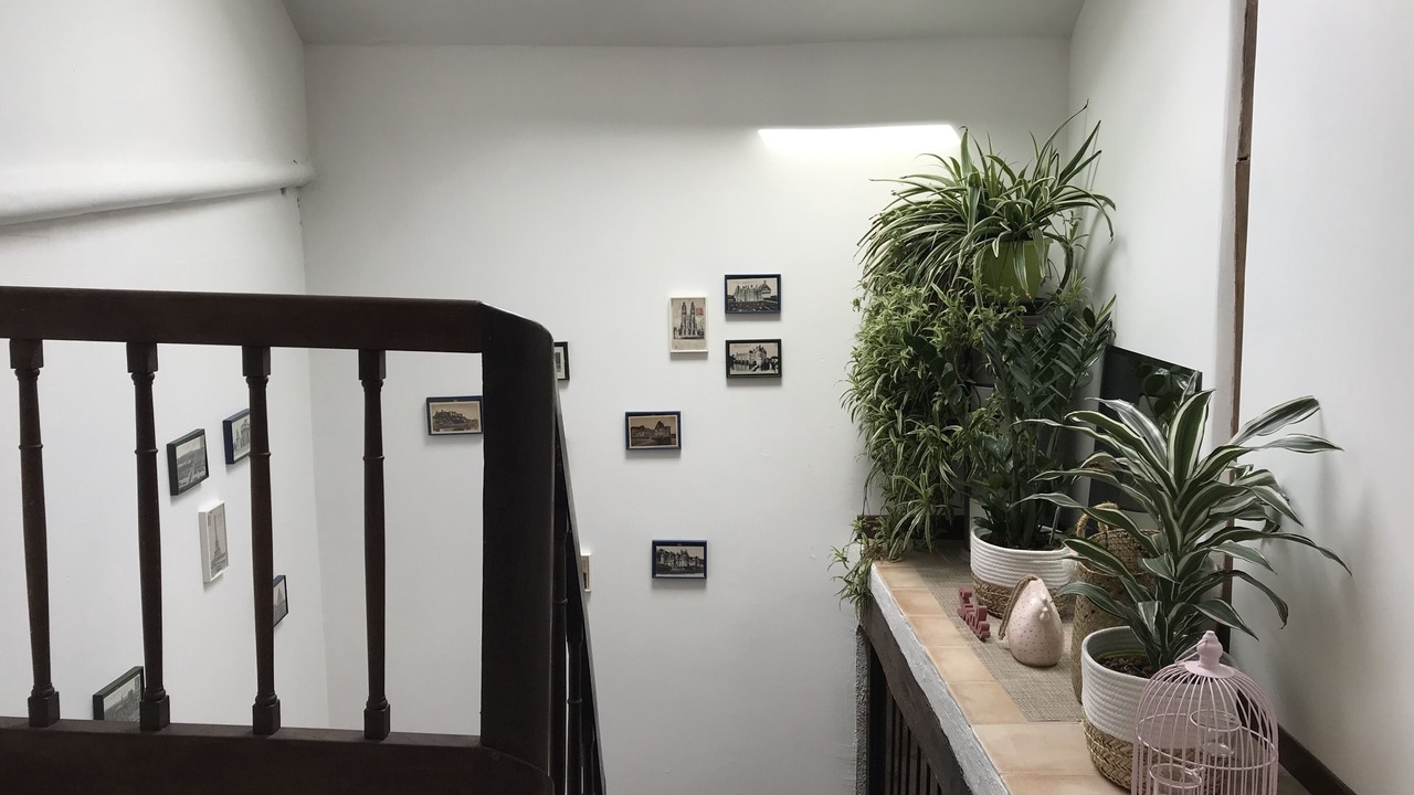 Photo of Others in Azay-le-Rideau