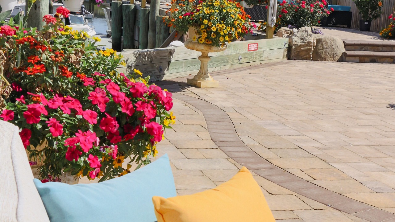 Photo of Outdoor in Island Park