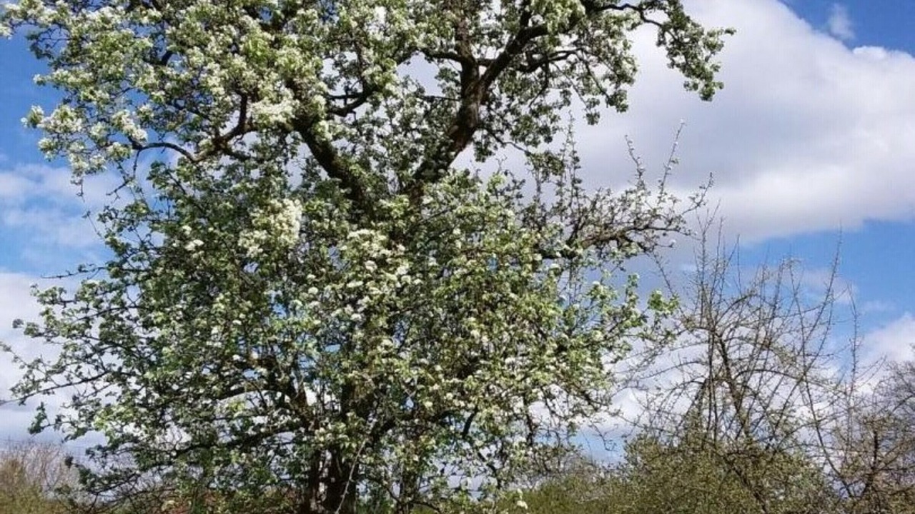 Photo of Outdoor in Champsecret