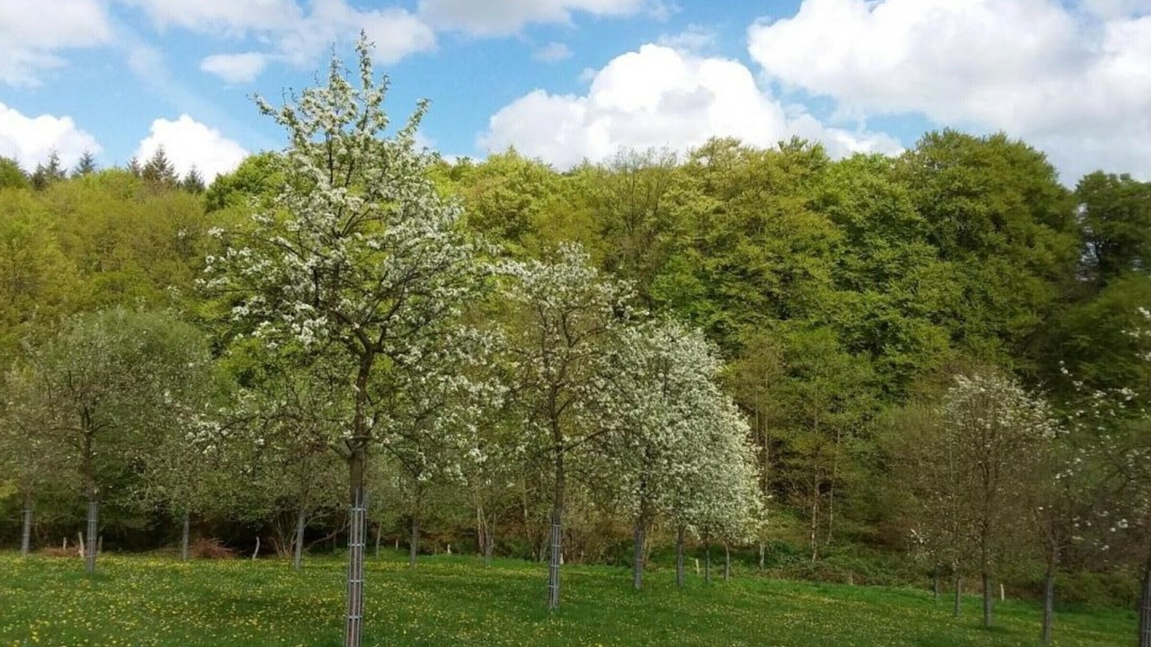 Photo of Outdoor in Champsecret
